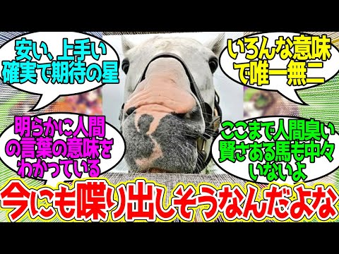 ゴルシ ← こんなに一挙一動に笑いが込み上げてくる馬そうそういないのよ…に対するみんなの反応！【競馬 の反応集】