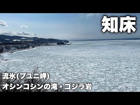 【Vlog】一面に広がる流氷！こんなの一生に一度見れるかどうか…｜知床を徹底散策してみたら心が浄化されました。