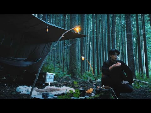 [2℃] Early winter hammock solo camping in a healing forest (SAVOTTA stove)