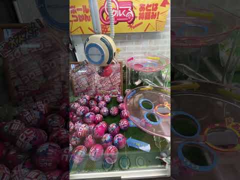 BREAK THROUGH ONE-THIRD in CLAW MACHINE #clawmachine #arcade