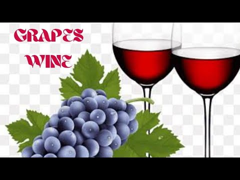 Grape wine||Grape wine recipe in Malayalam||How to make grape wine at home||Minis Tastebuds