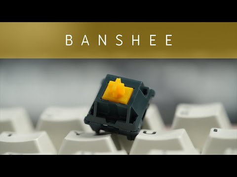 Bolsa Banshee: another BSUN Banger!