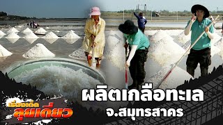 เรื่องเด็ดลุยเดี่ยว | ผลิตเกลือทะเล จ.สมุทรสาคร | ข่าวเที่ยงอมรินทร์ | 10 มี.ค. 67