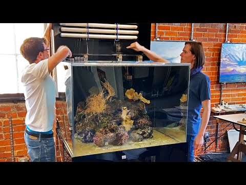 Moving a 15 Year Old FULL Reef Tank Setup