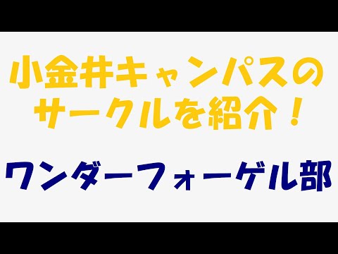 ［小金井キャンパスのサークルを紹介！］ワンダーフォーゲル部