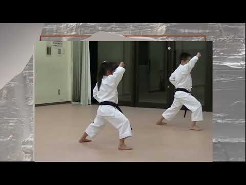 Muscle Memory in Traditional Okinawan Martial Arts