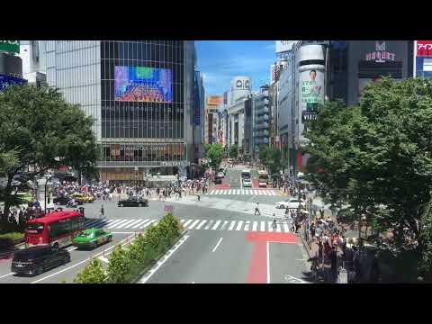 渋谷スクランブル交差点のタイムラプス～渋谷マークシティより