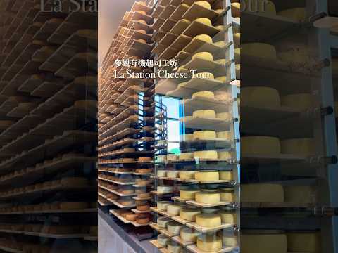 超感動！參觀有機起司工坊/Organic Cheese Maker Tour #cheesemaking #起司