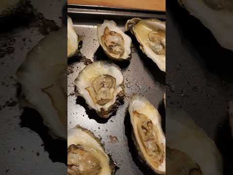 Roasted Oysters  Wild Foraged #wildfood #oysters #recipe