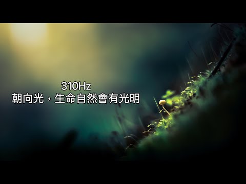 310Hz:朝向有光的地方，生命自然會閃亮。樂觀的人通常會出色的完成任務，並極力獲得成功。消除倦怠感，恢復生命熱情：310Hz 希望樂觀:希望、樂觀帶來真誠而友善。