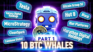 Microstrategy | The Biggest Bitcoin Holders Revealed!