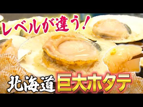 【北海道グルメ】天然ホタテが旨すぎる！スーパーで生きたホタテが買える！？【2021年8月19日 放送】