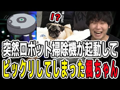 配信中に突然ロボット掃除機が起動！ビックリして起きてしまった楓ちゃん【三人称/ドンピシャ/ぺちゃんこ/鉄塔/三人称雑談/切り抜き】