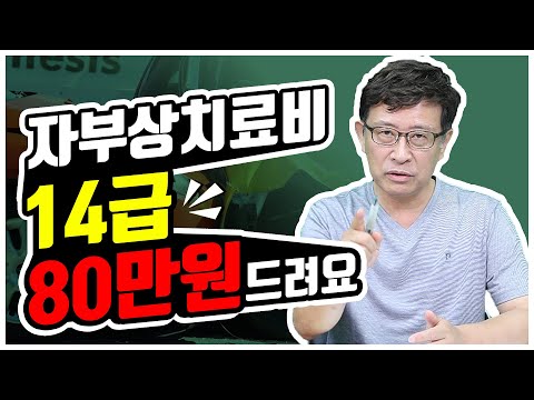 자부상치료비 14급 80만원 드려요