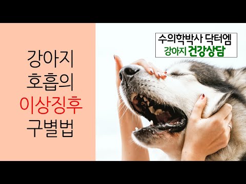 강아지 이상호흡 구별법 - 수의학박사 닥터엠의 강아지 119