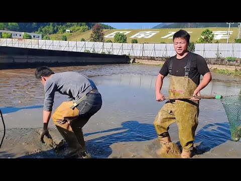 1300 pack an abandoned turtle pond and see how much money you can earn if you catch some big goods.