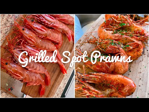 Grilled Spot Prawns ASMR