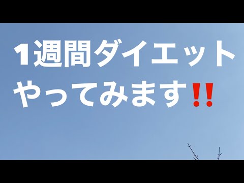 1週間ダイエットに挑戦👍