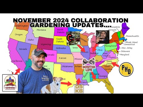 Coast to Coast November 2024 Garden Collaboration || DHBG