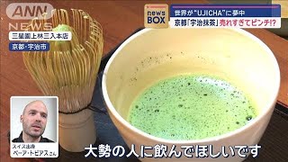 京都「宇治抹茶」売れすぎてピンチ！？　世界が“UJICHA”に夢中【スーパーJチャンネル】(2024年12月19日)