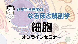 【なるほど解剖学】1-1 細胞｜かずひろ先生（2022)