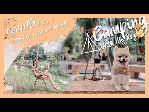 Camping with my dog Ep.1  กางเต็นท์ที่ละลานตา สระบุรี