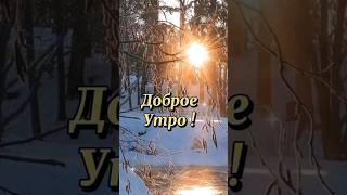 #сдобрымутромхорошегодня #зимнеенастроение