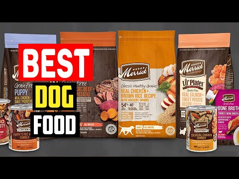 ✅Best Dog Food in 2023