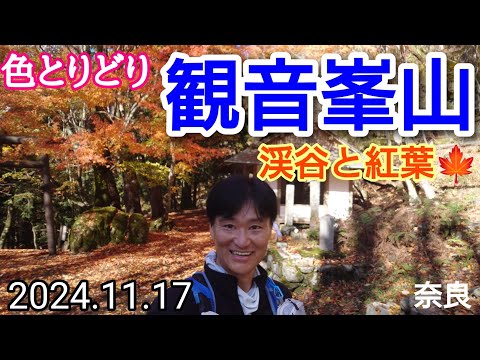 観音峯山  みたらい渓谷と紅葉🍁2024