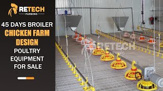 45 days broiler chicken farm design poultry equipment for sale - RETECH Farming