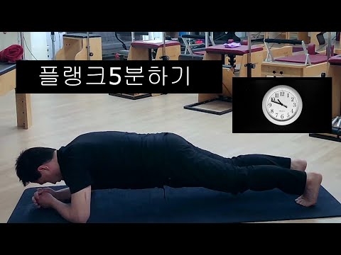 플랭크5분하기