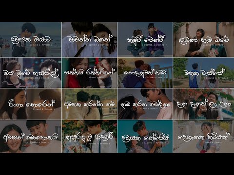 Sinhala slow Song Collection ||🥺❤️|| Manoparakata Sindu (Slowed + Reverb) Mind Relaxing Playlist 24