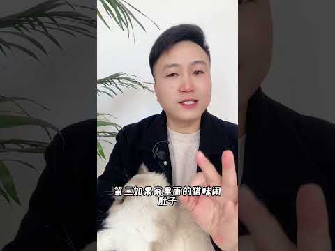 冬季养猫要牢记。否则能把猫命要。养猫经验分享 科学养宠攻略 养猫人 宠物驱虫 好懂事的猫猫