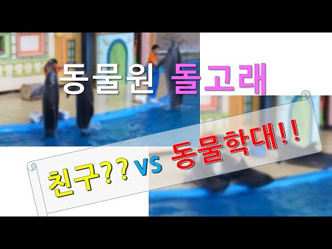 동물원 물개&돌고래 쇼 없어저야 할 동물 학대