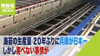 日本の海苔がピンチ！？２０年ぶりに兵庫が生産量日本一となった背景に“喜べない事情”も？養殖業者「海の栄養が少なくなり育ちにくく」（2024年2月6日）