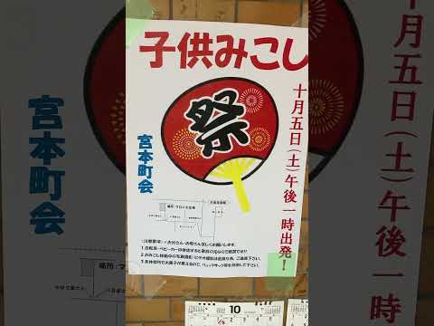 北野神社祭り、子ども神輿#shorts