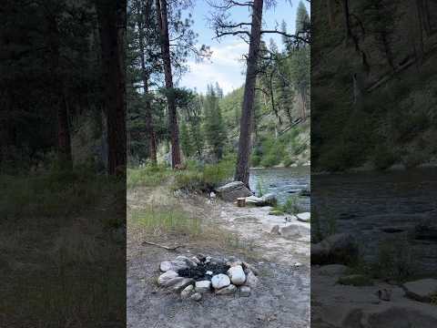 Camp Down By The River #4runner #overlanding #truckcamping #camping