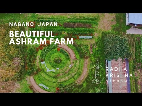 ラダクリシュナアシュラム農園へようこそ！｜Welcome to Radha Krishna Ashram Farm!!