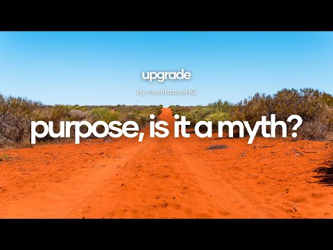 Purpose, is it a myth?