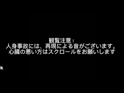 オランダ鉄道にて人身事故発生の瞬間！#人身被害 #人身事故