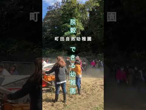 【町田自然幼稚園】脱穀できる幼稚園