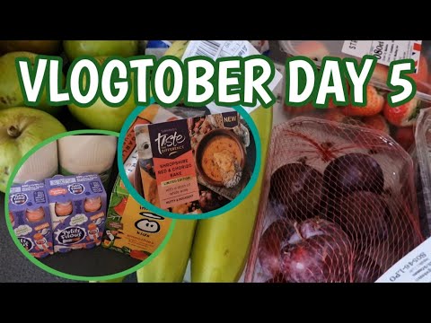 VLOGTOBER 5 | GROCERY HAUL FOR £100 | life of the Baldwins