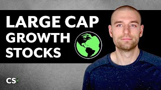 Large Cap Growth Stocks (FB, AMZN, AAPL, GOOGL, MSFT, TSLA)