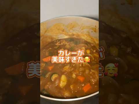 畑で採れた新じゃが&ズッキーニ入りカレー