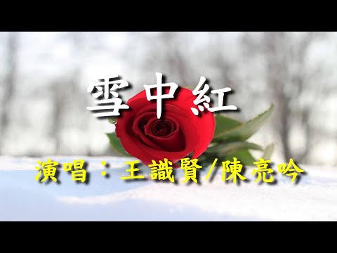 雪中紅                                                                      王識賢‧陳亮吟  演唱