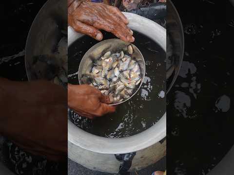 Baby Rupchand Fish || village fishing & farming #reels #fishing