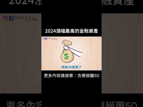 【2024漲幅最高的金融資產】 #迷因 #梗圖 #笑話 #投資