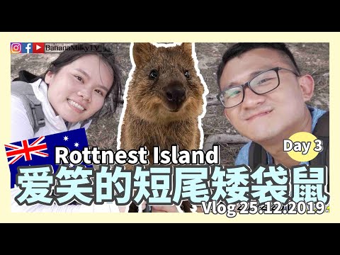 西澳房车游Day3｜爱笑的短尾矮袋鼠 Quokka ｜环岛骑脚车4个小时｜澳洲房车游16天day3 ｜Vlog 25/12/2019｜香蕉牛奶BananaMilkyTV