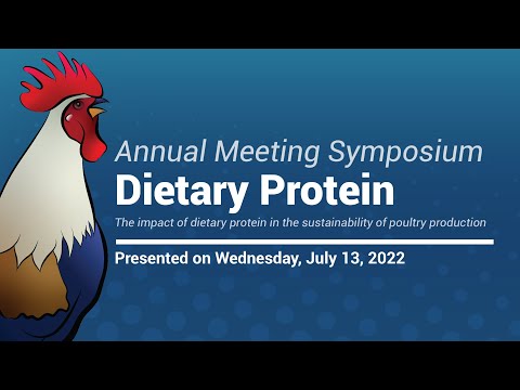 The impact of dietary protein in the sustainability of poultry production