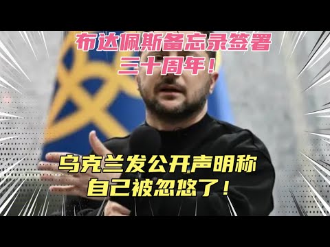 布达佩斯备忘录签署三十周年！乌克兰终于公开承认自己当年目光短浅，以至于被忽悠惨了！泽连斯基称乌克兰不接受出加入北约外任何替代方案！